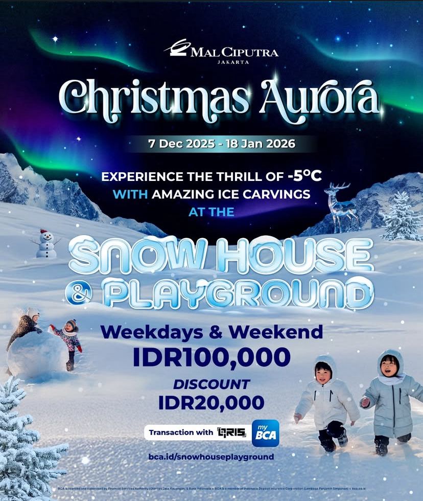 Snow House Playground